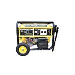 Elepaq 11kva Key Start Generator SV22000E2 100% Copper Constant